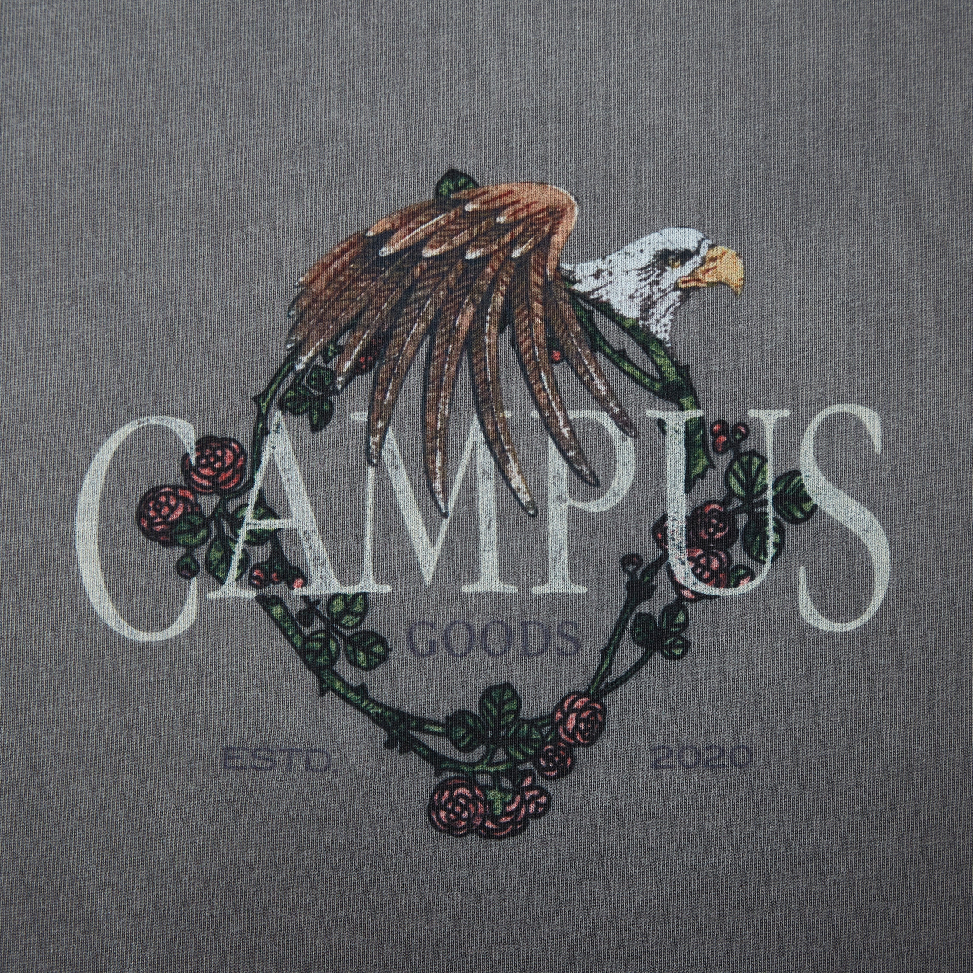 DREAMCATCHER TEE SUN WASH GREY