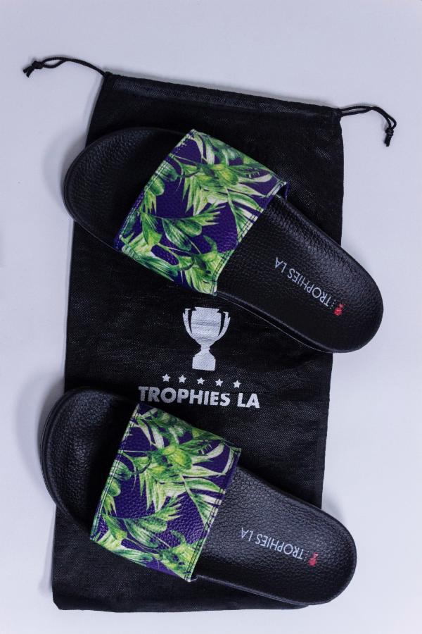 Palm Tree Slides