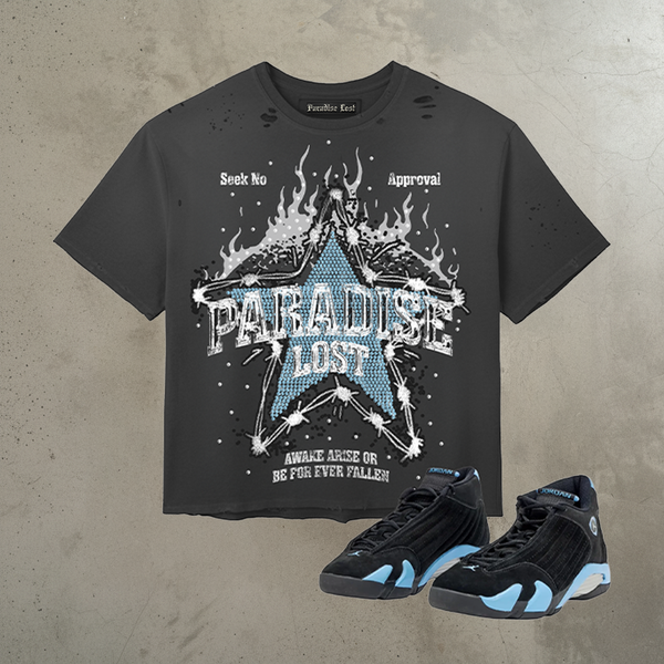 Fallen Star Tee (Black)