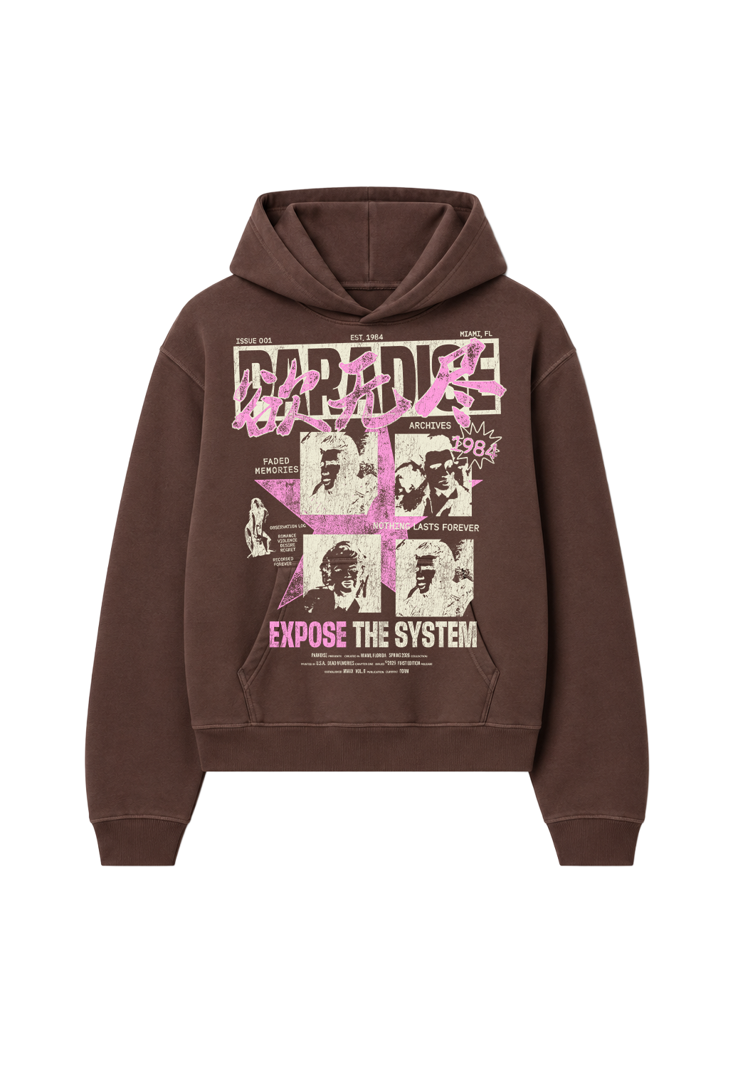 Expose the System Hoodie