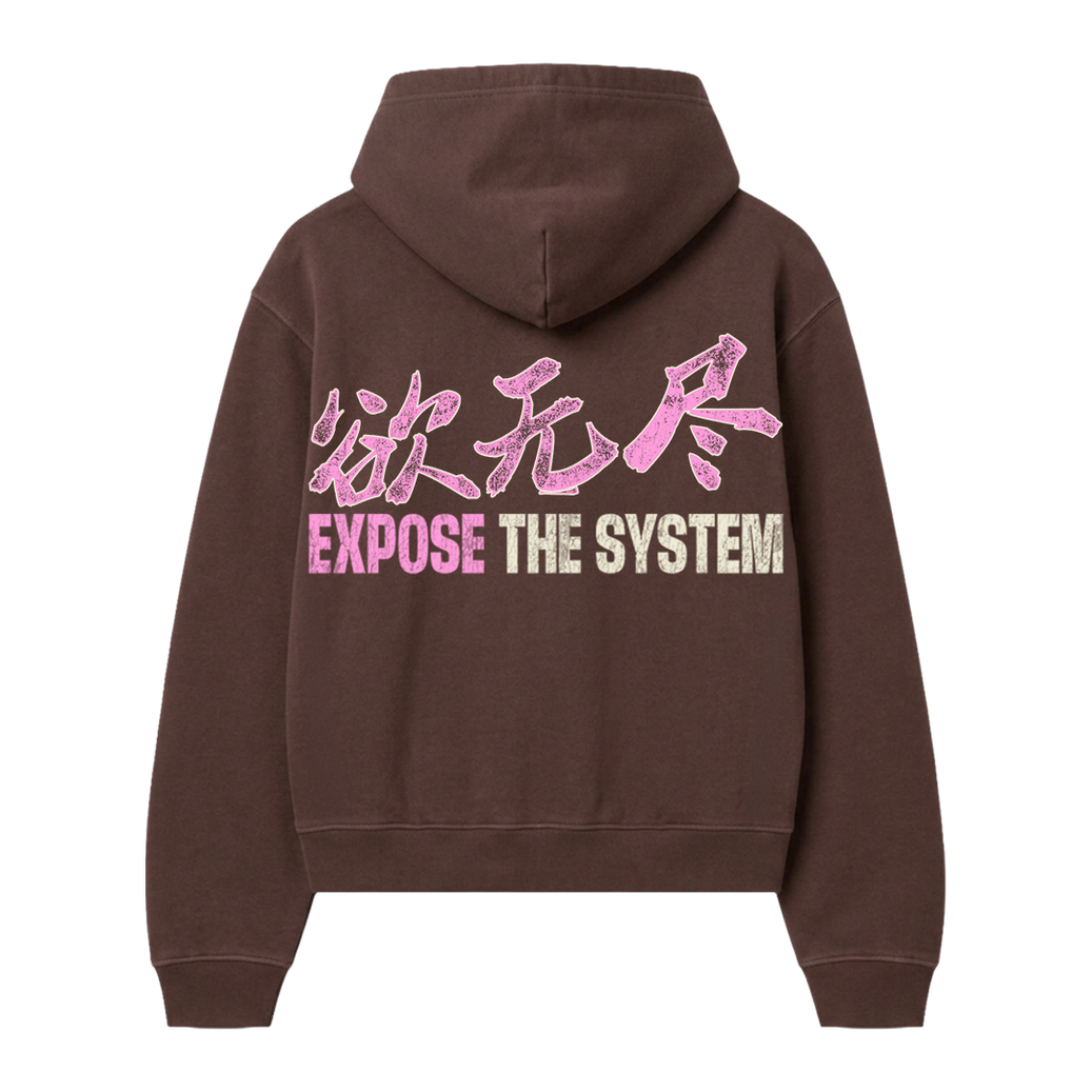 Expose the System Hoodie