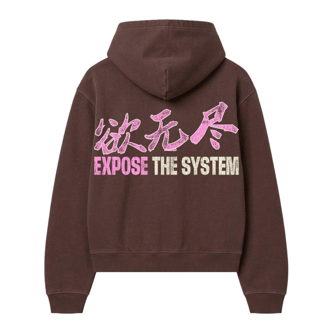 Expose the System Hoodie