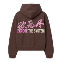 Expose the System Hoodie
