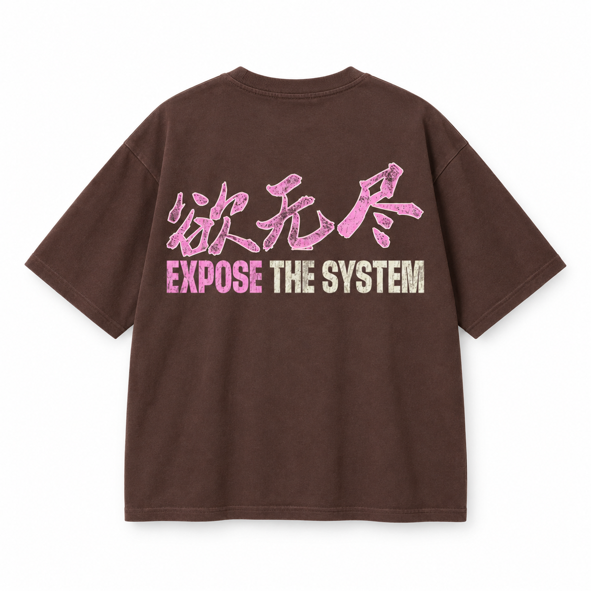 Expose the System T-Shirt