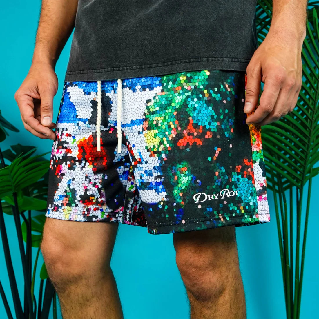 Window Shorts Multi