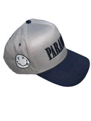 Paranoia Snapback Grey/Navy