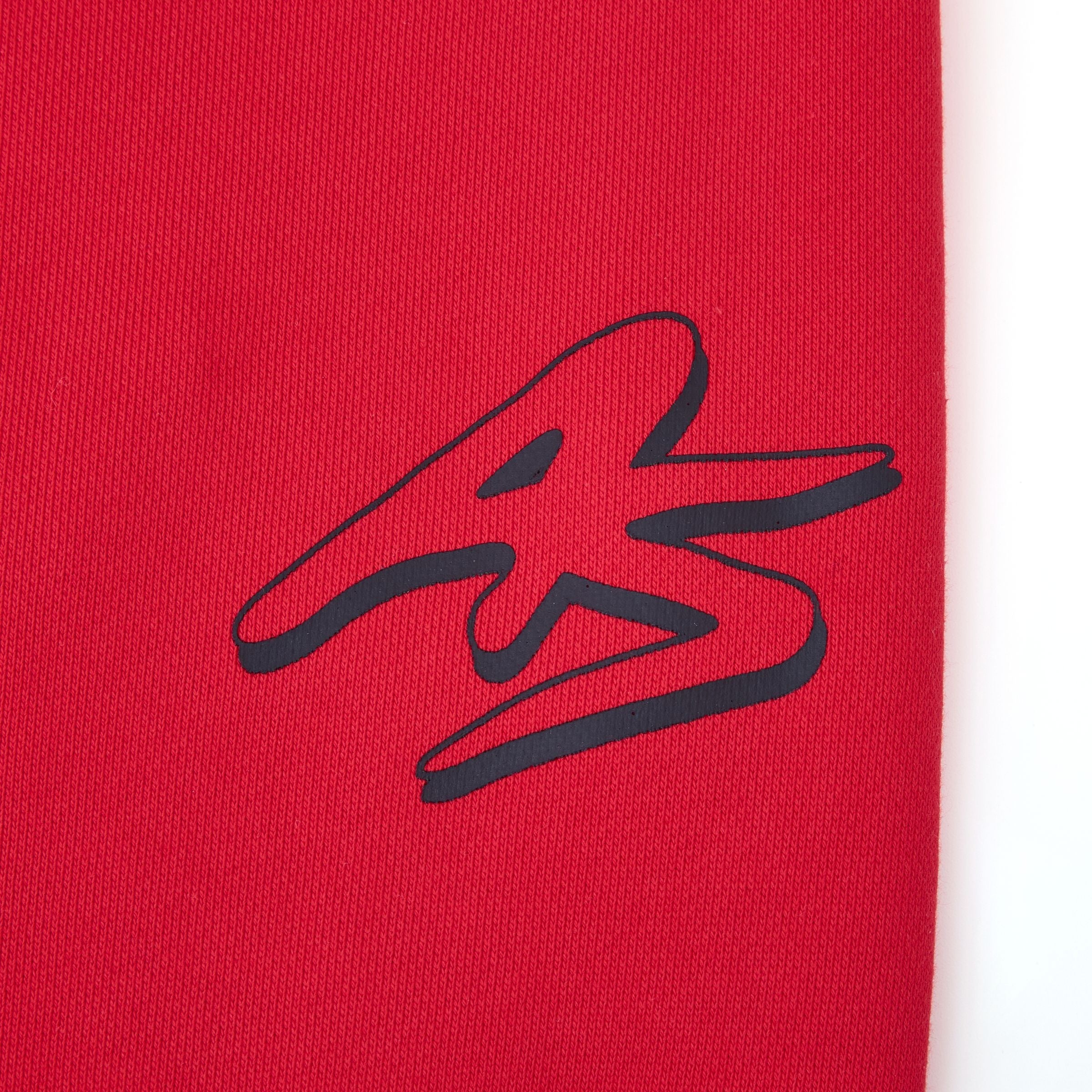 Zepplin Flare Pants Red