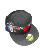Chicago Bulls Windy City Fitted Cap