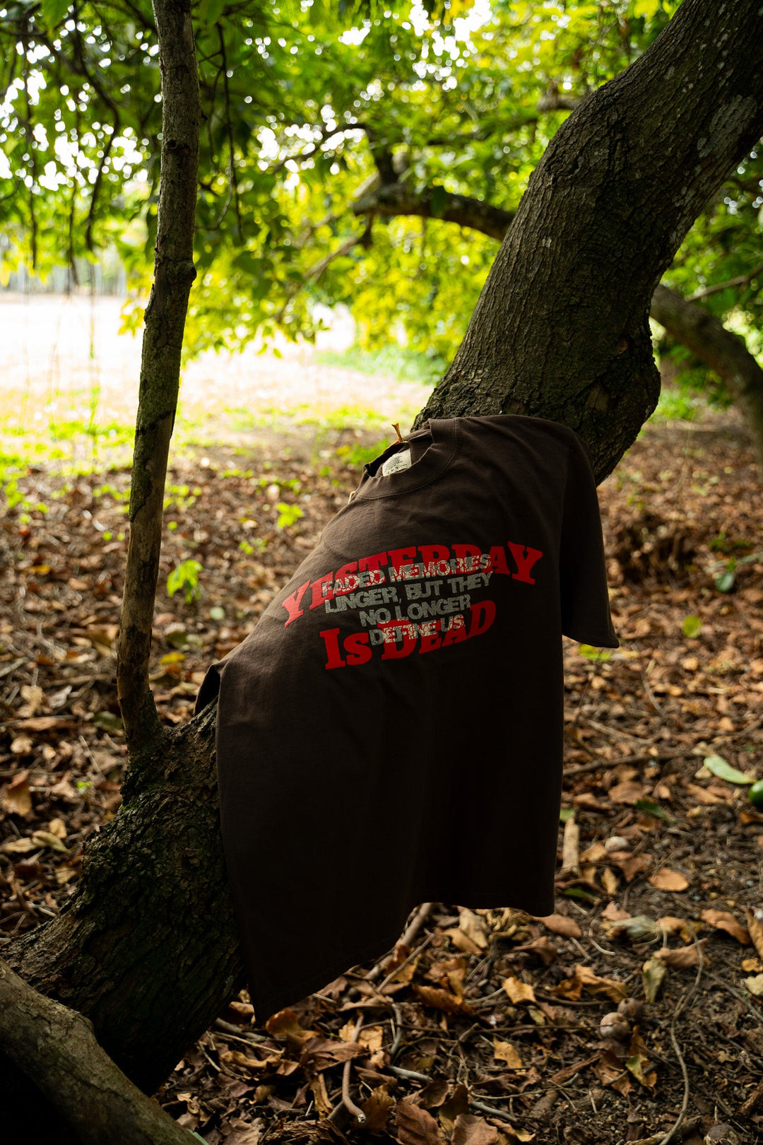 THROUGH THE HAZE TEE MOCHA