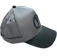YID Gray Orbit Snapback