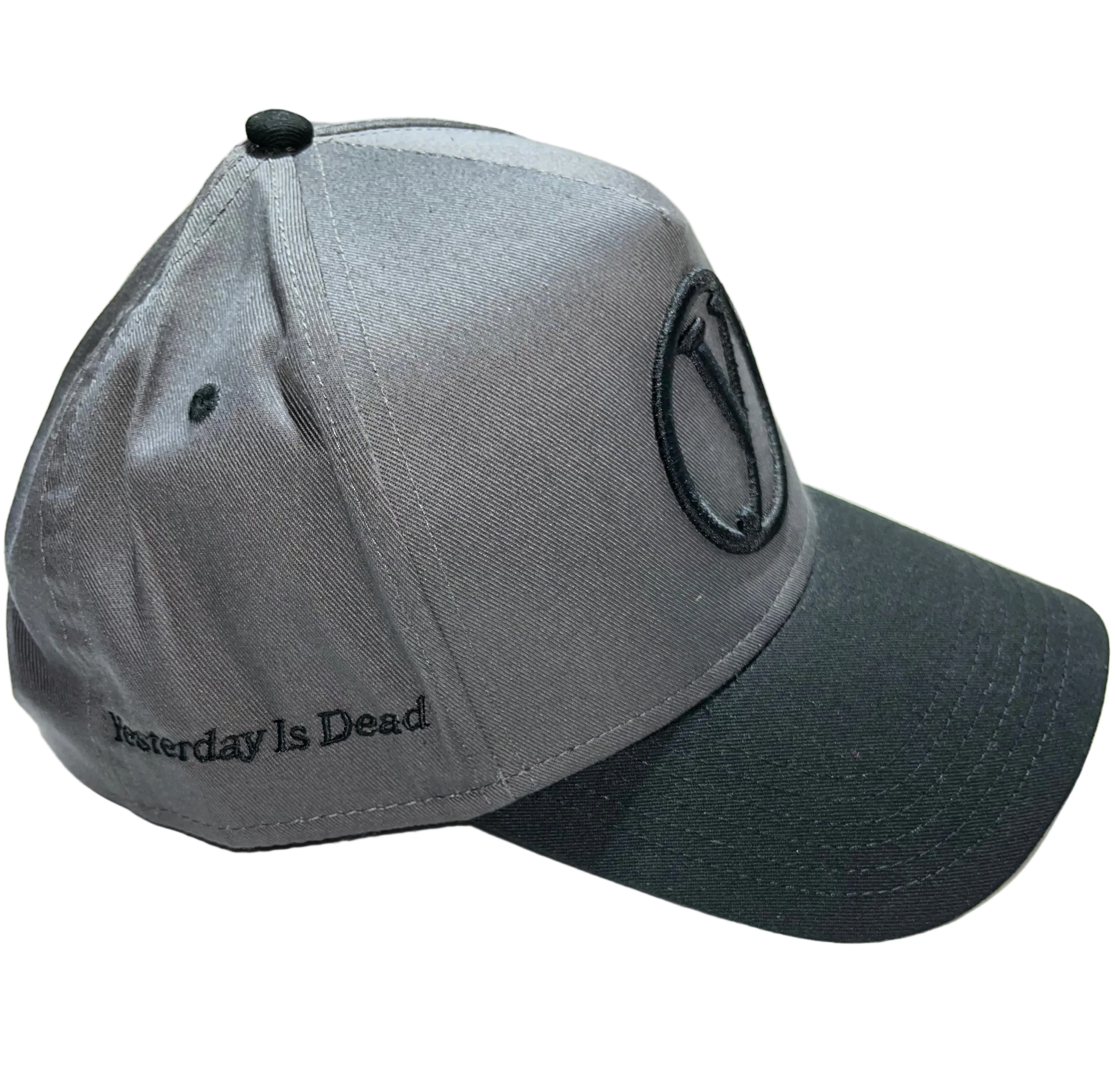 YID Gray Orbit Snapback
