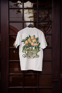 unique-id-335472ff-374a-44a8-a629-ceb184aacc63