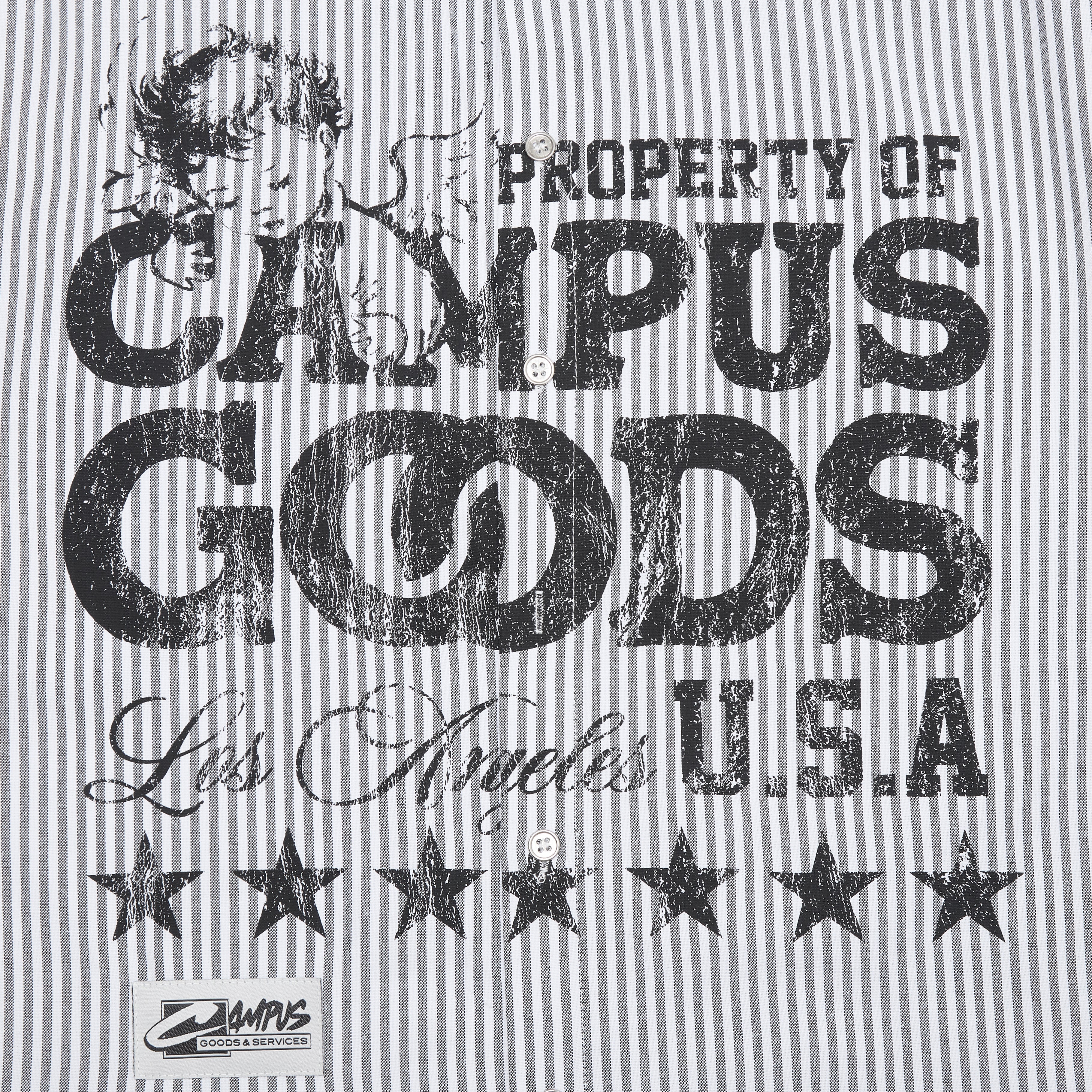 Seraph Stripe button Up