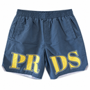 Varsity Nylon Shorts Teal