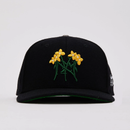 Concrete Petals Strap Back