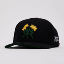 Concrete Petals Strap Back
