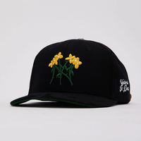 Concrete Petals Strap Back