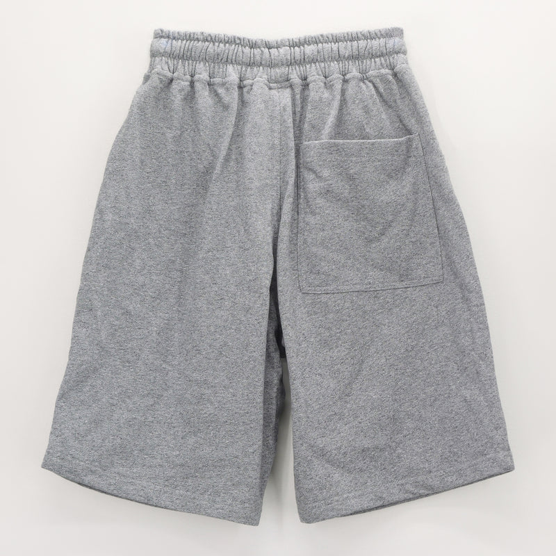 SOTF CORE SHORTS GRY