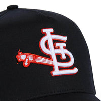 SPIRDINALS HAT BLACK