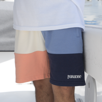 COLOR BLOCK SHORTS NAVY