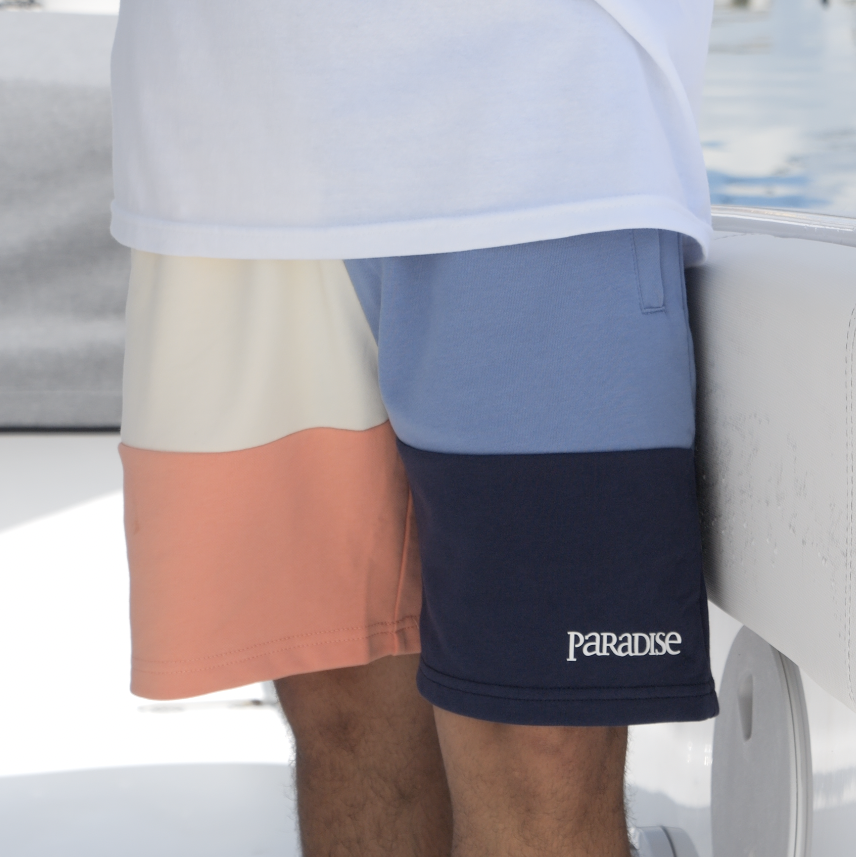 COLOR BLOCK SHORTS NAVY