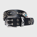 Passport Belt