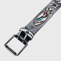 Passport Belt