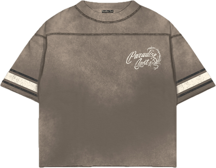 Dust to Desire Tee - Grey