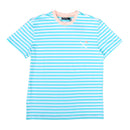 SOTF STRIPE TEE MNT/PCH